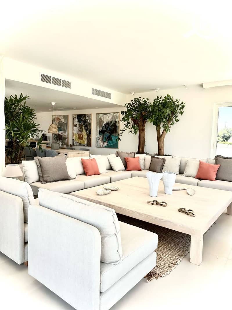 3 photo_2025-01-29_20-40-05. jpg