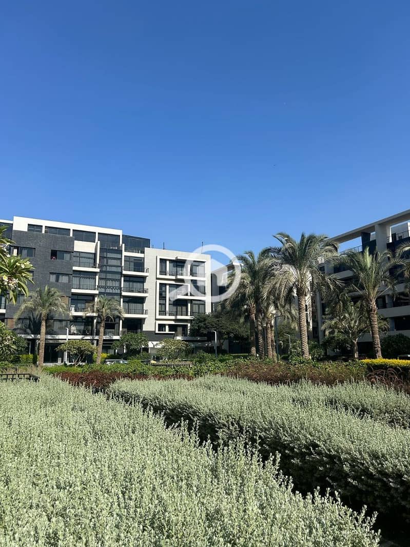 9 photo_2025-03-27_09-20-50. jpg