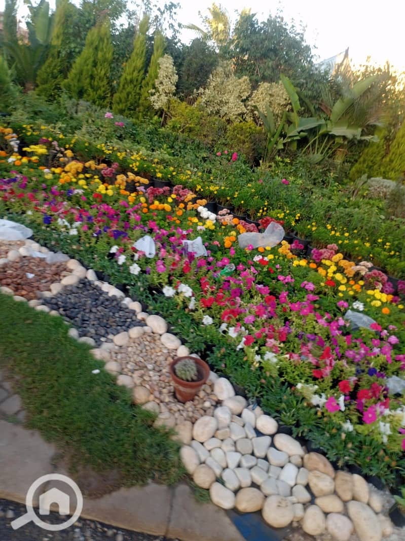 9 WhatsApp Image 2025-12-20 at 2.26. 38 PM. jpeg