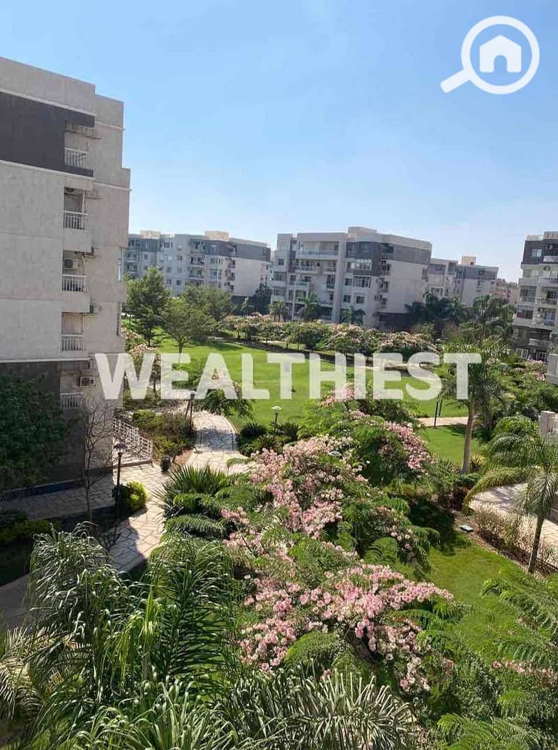 6 3bde5c48-bac7-4ecb-9761-8ed4943e9941. jpg