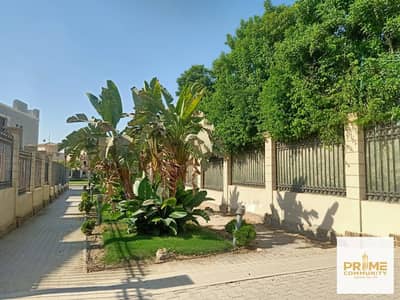 فیلا 4 غرف نوم للبيع في الشيخ زايد، الجيزة - WhatsApp Image 2025-12-10 at 7.01. 04 PM. jpeg