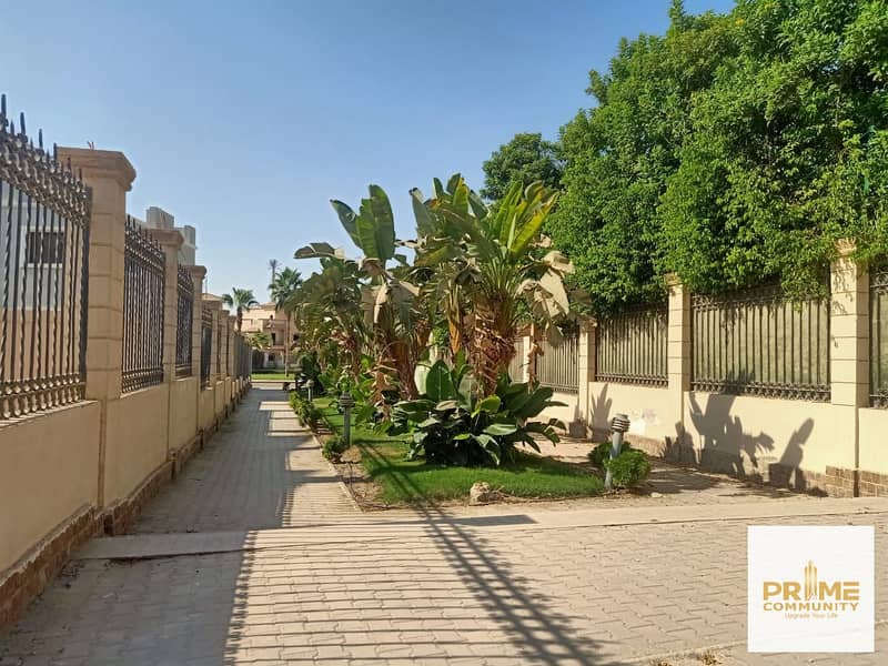 9 WhatsApp Image 2025-09-04 at 16.20. 17_c8853dba. jpg