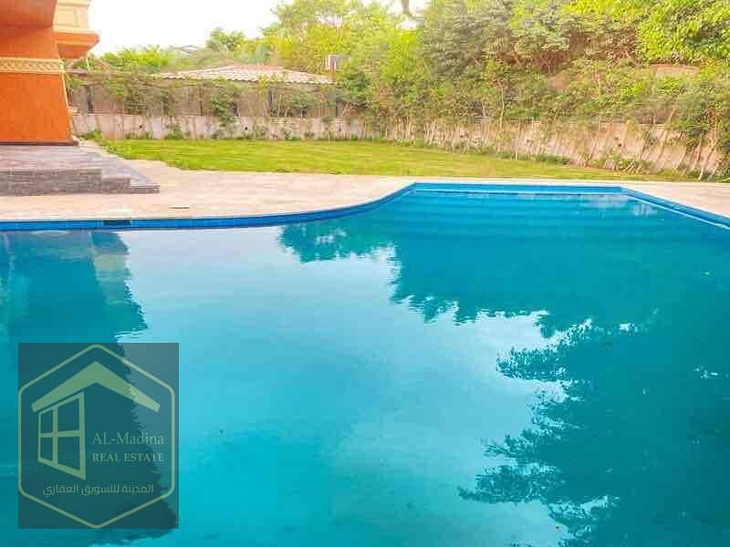 9 fe215c30-2e50-4c3f-8976-970ef6954b2c. jpg