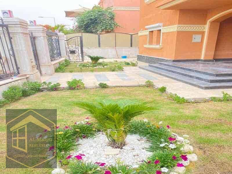 10 68f7738e-a340-48d7-9ff7-0a1be60d7424. jpg