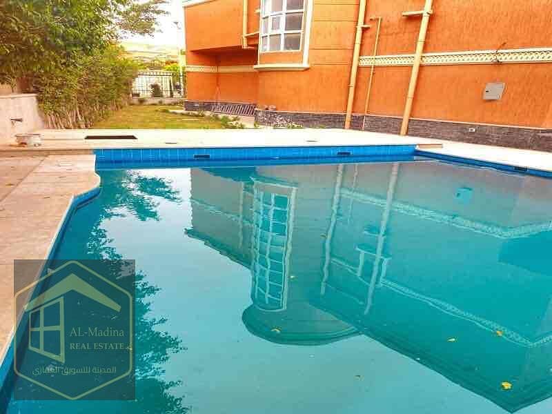 13 45ec4330-deb7-49f9-9ad2-a62e9915da05. jpg