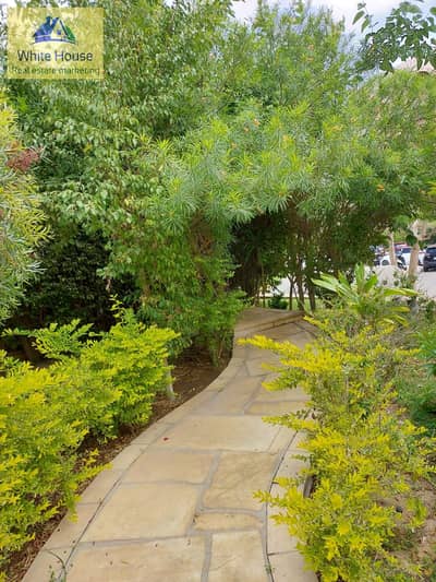 Studio for Rent in New Cairo, Cairo - 7ce4ad0b-bbd4-41f6-9cae-943266ba2568. jpg