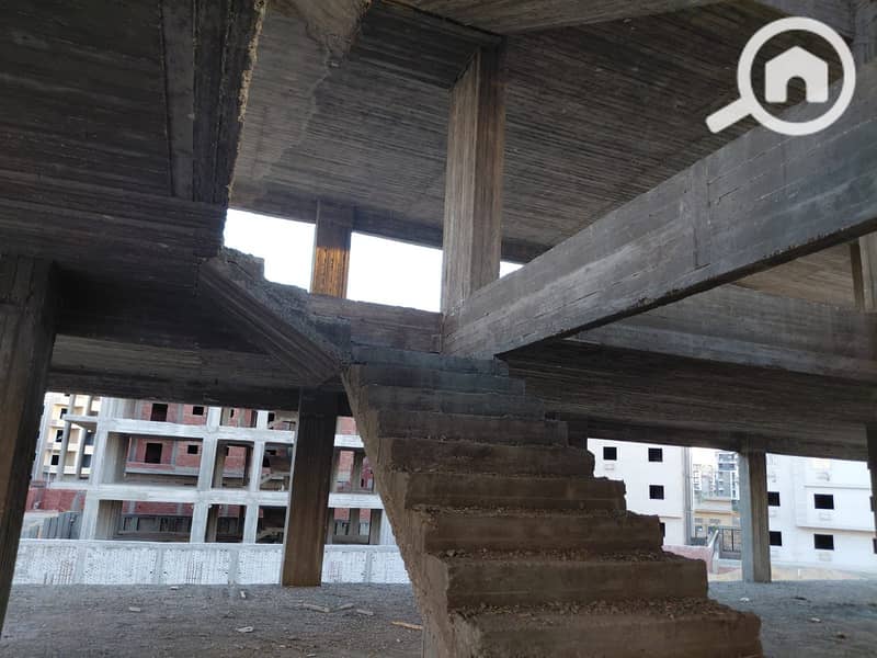 11 e6010308-e4e6-48fc-9942-b6c4018689ac. jpg