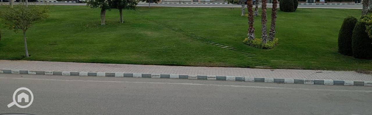 2 653630da-0da5-4d84-861b-145e02382236. jpg