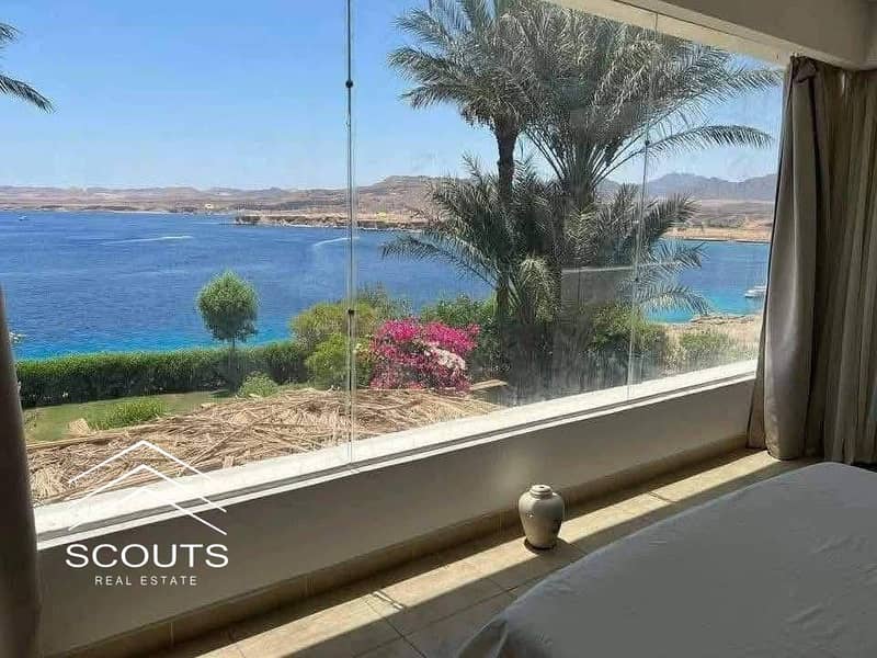 IMG_8922. jpeg IMG_8922. jpeg