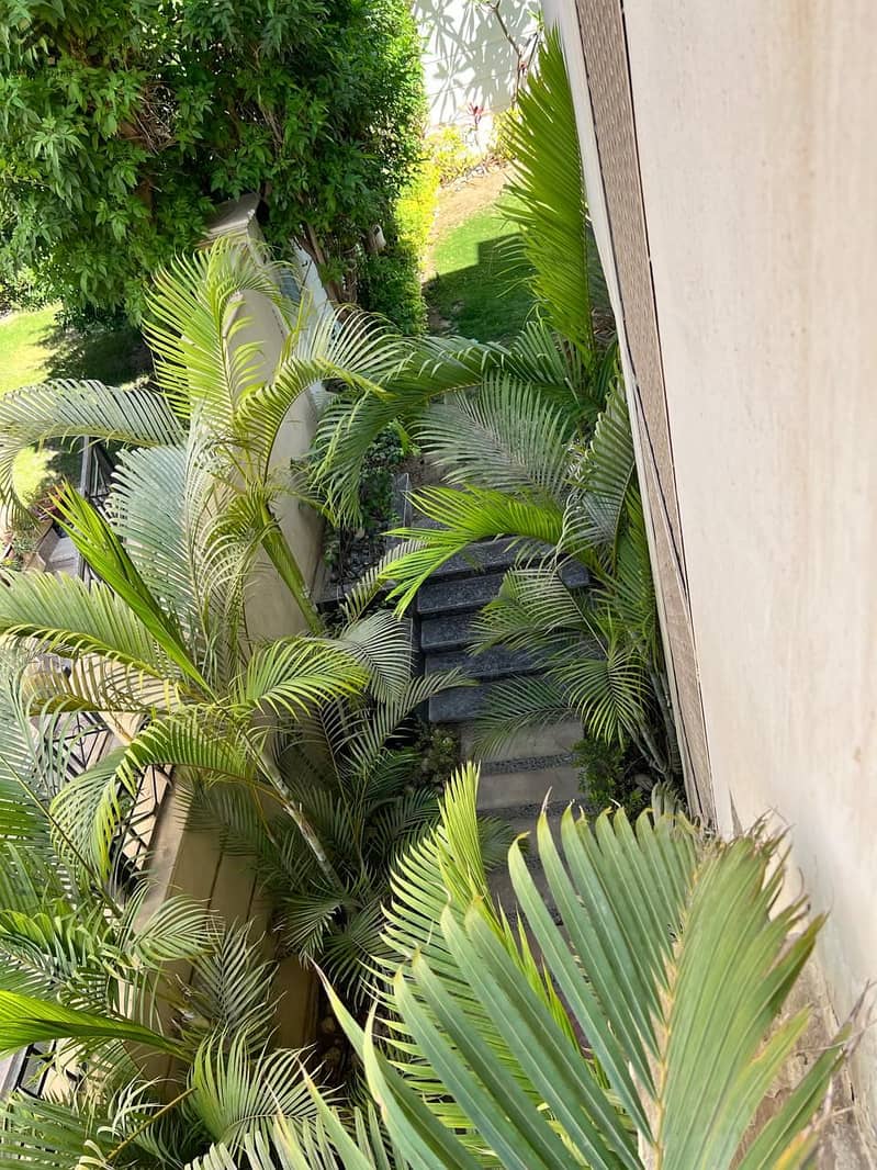 13 WhatsApp Image 2025-12-14 at 13.33. 13_266907a8. jpg