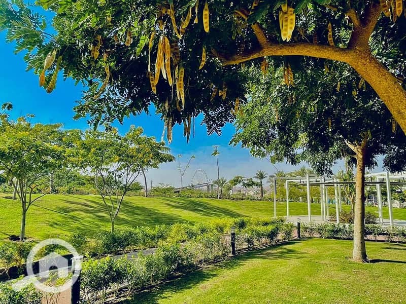 11 WhatsApp Image 2024-09-25 at 7.18. 12 PM. jpeg