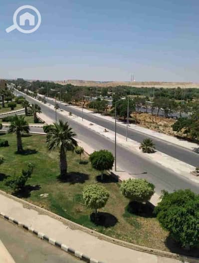 3 Bedroom Apartment for Rent in Shorouk City, Cairo - 1000085238. jpg