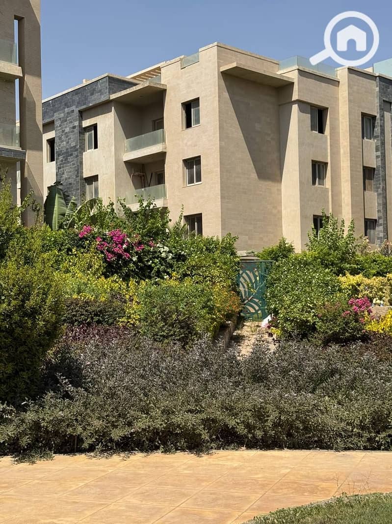 5 photo_2025-07-17_18-58-25. jpg