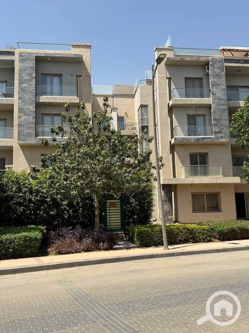 8 photo_2025-07-17_18-59-51. jpg