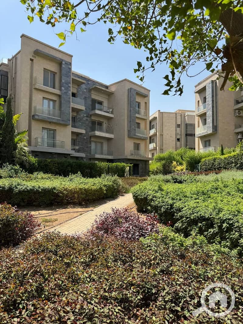 6 photo_2025-07-17_18-58-17. jpg