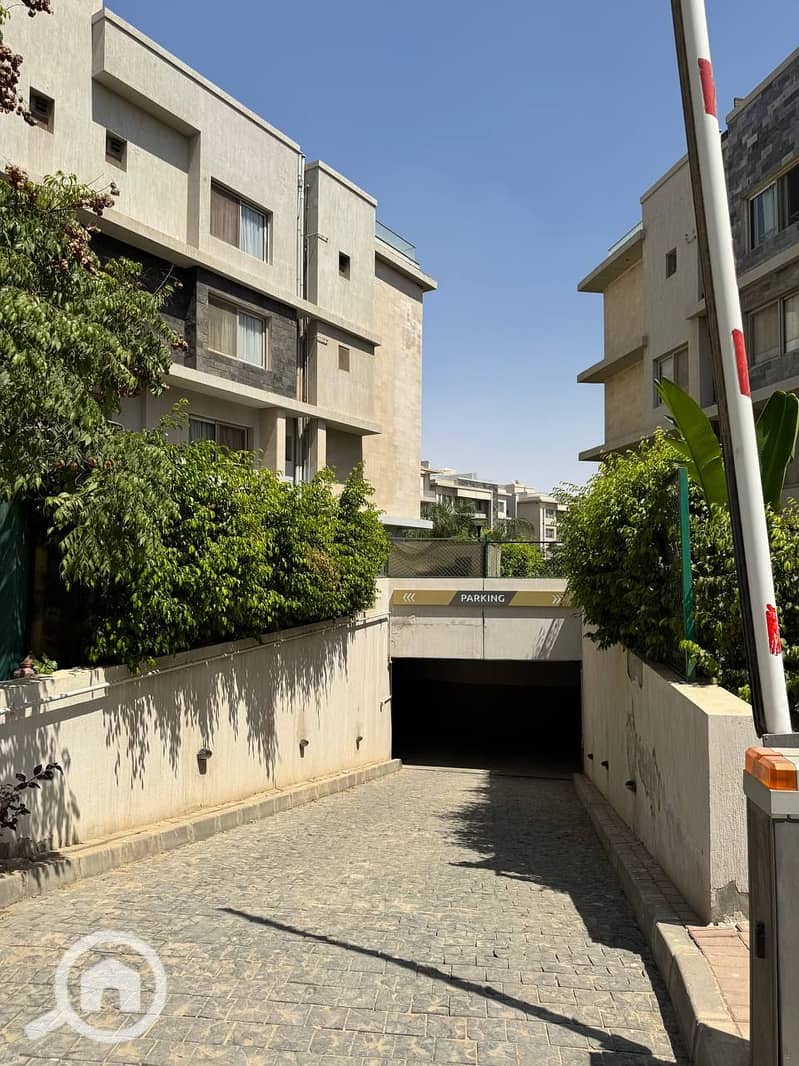 10 photo_2025-07-17_19-00-04. jpg