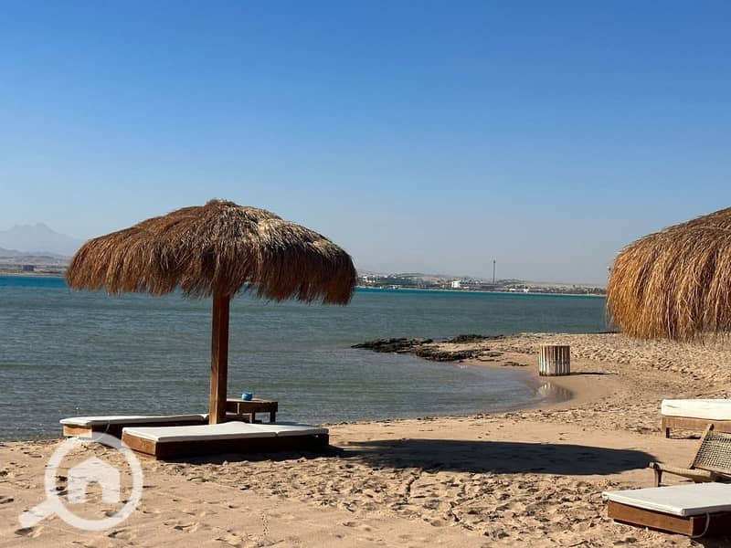 8 photo_2025-03-06_20-06-46. jpg