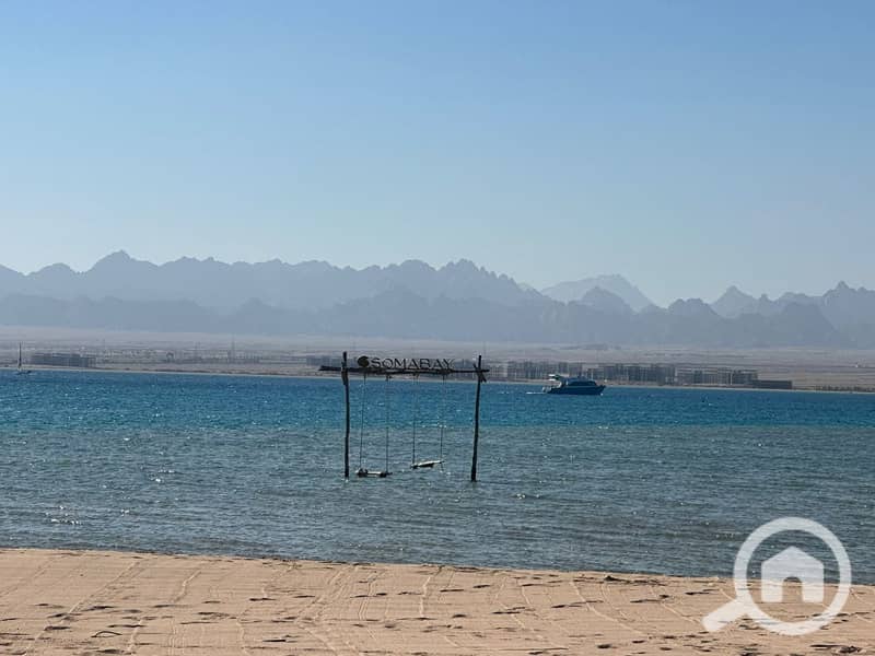 9 photo_2025-03-06_20-06-39. jpg