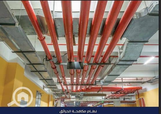 9 WhatsApp Image 2025-12-20 at 22.39. 07. jpeg