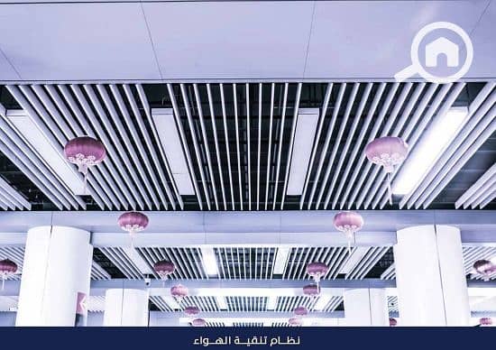 12 WhatsApp Image 2025-12-20 at 22.39. 35. jpeg