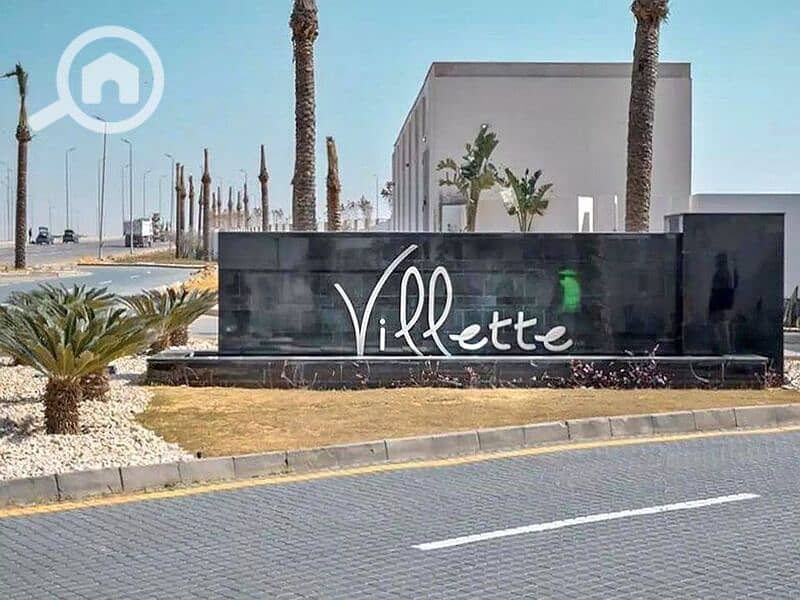 7 311832298_5679424365505034_2824096152430998161_n. jpg