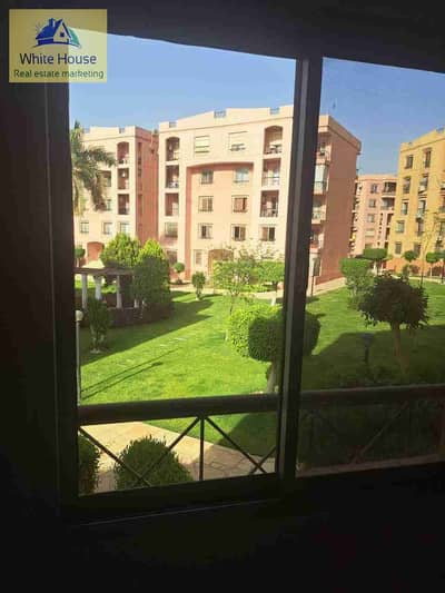 3 Bedroom Apartment for Rent in New Cairo, Cairo - 1000188774. jpg