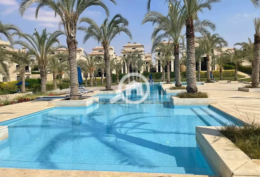 10 e9863537-4c61-4848-9a4f-ec6a7d74c01a. jpg