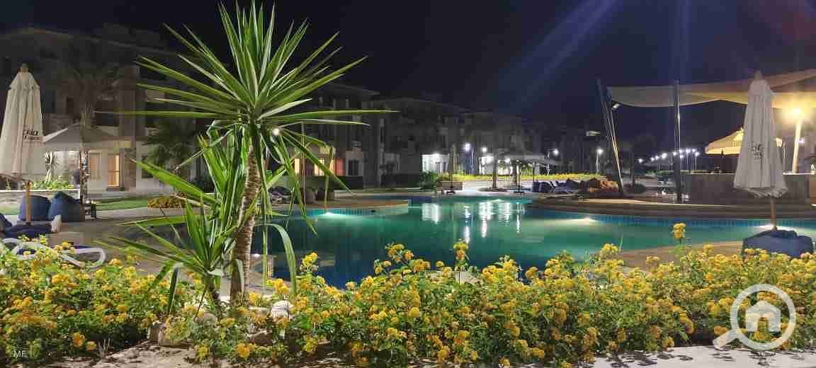 5 IMG-20250125-WA0394(1). jpg