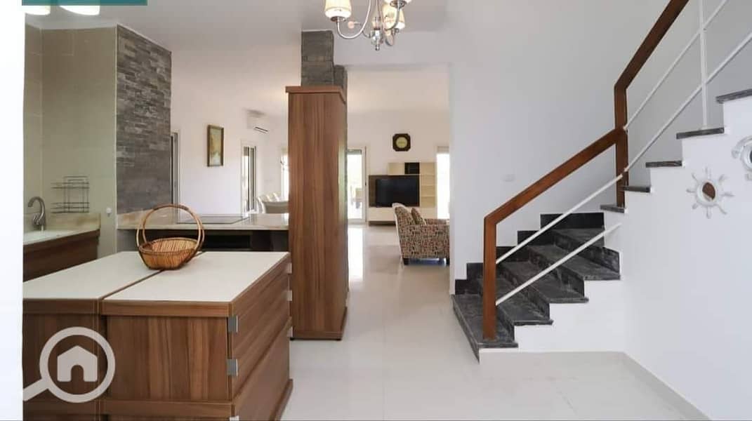 4 449135202_2489338077935920_5948411067467124561_n. jpg