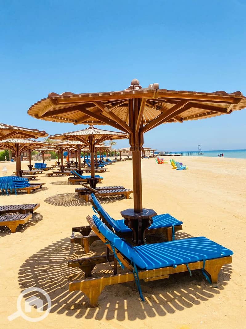 6 photo_2025-02-01_17-18-54. jpg