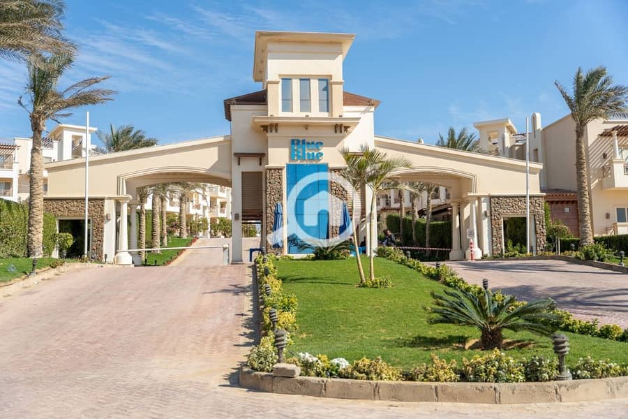 10 photo_2025-02-19_21-50-18. jpg