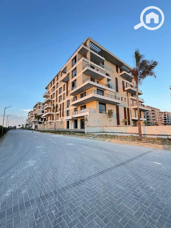 10 574932732_122171259260435361_2144339241985343652_n. jpg