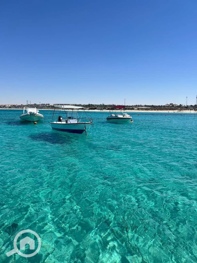 10 photo_2025-08-14_13-16-25. jpg