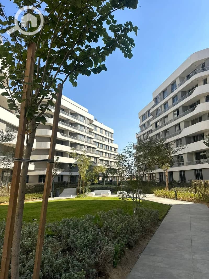 5 photo_2025-02-19_06-56-07. jpg