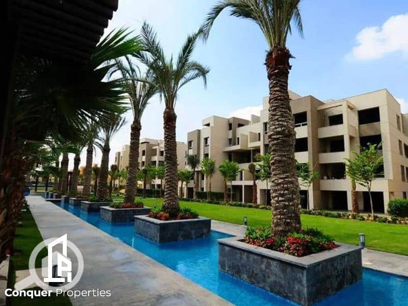 6 Untitled design - 2023-11-23T154037.951 (2). png