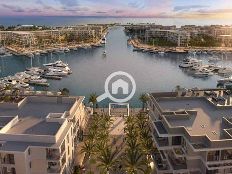 4 Untitled design (28) - Copy. png