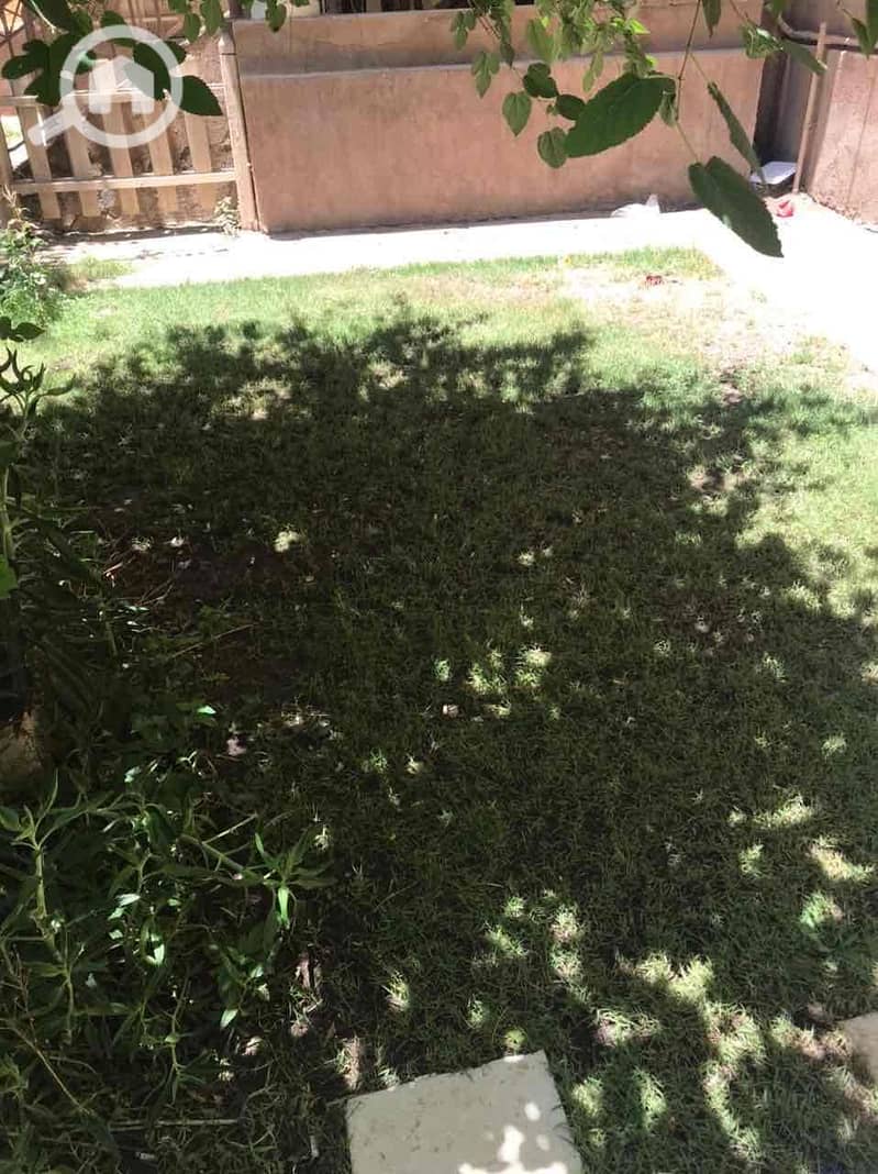 10 bc86c429-35b4-46e7-898a-5519af14523d. jpg