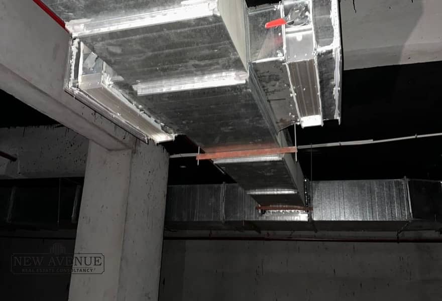 6 03e8b466-0003-4ad7-ae1c-7c97dc2dc6f3. jpg