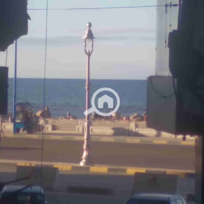 2 Bedroom Apartment for Rent in Miami, Alexandria - 1000271889. jpg