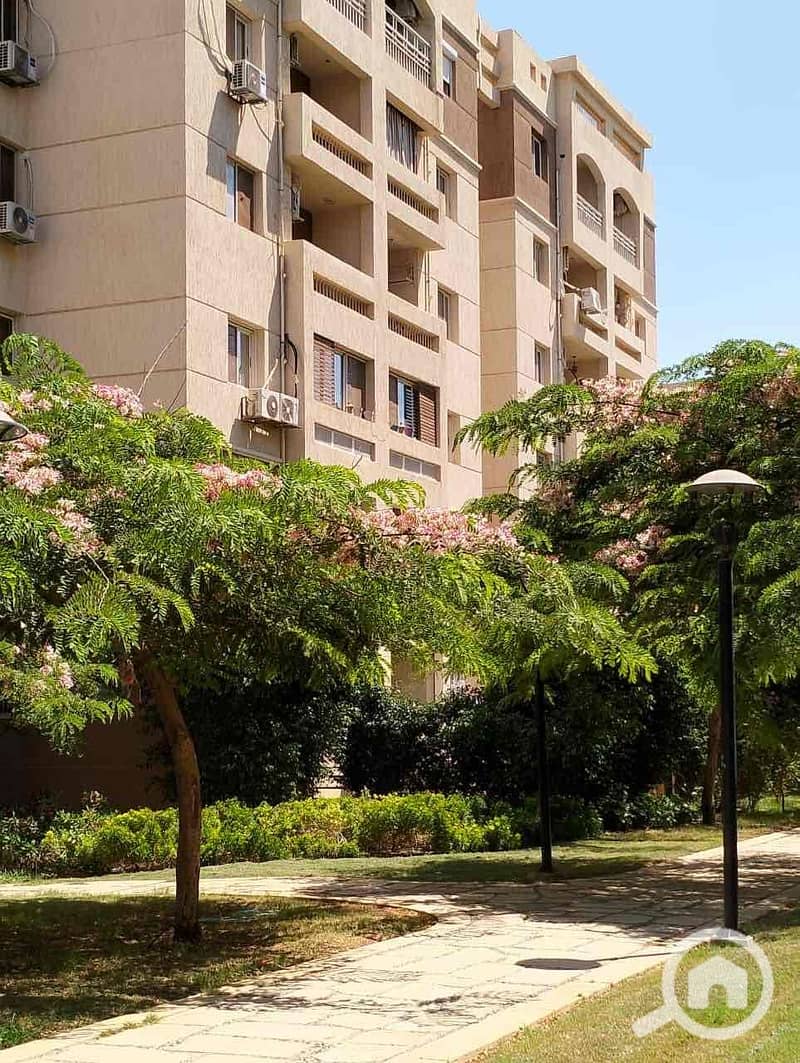 2 9721ef9b-6572-4858-bfd6-b02dd0509117. jpg