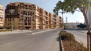 8 36683-13-12102025021454. jpg