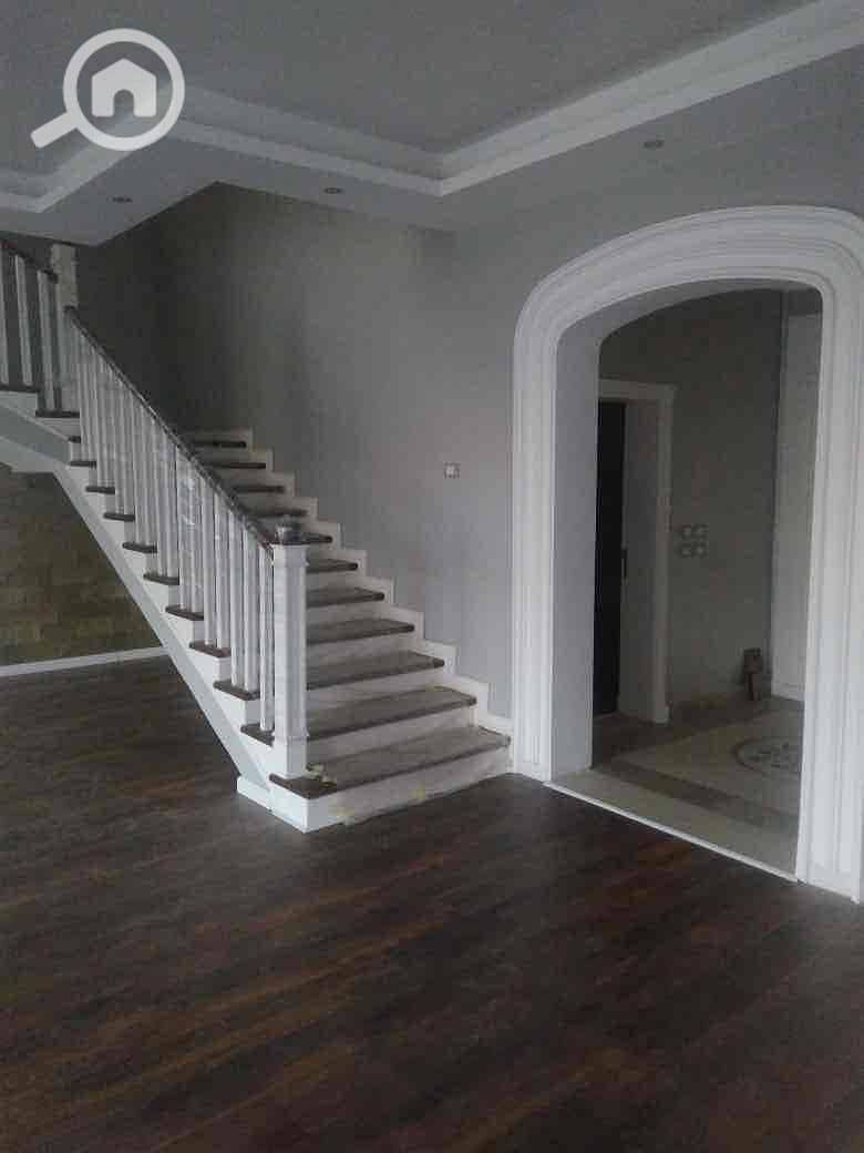 3 4608cdba-b7d9-4833-be54-1006f6e7e909. jpg