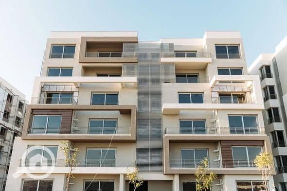 5 584542136_10230918382449125_1563522465435430364_n. jpg