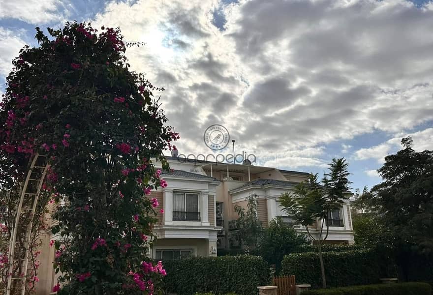 6 e733ec99-95f6-4c44-b5f8-c1a7216edce8. jpg