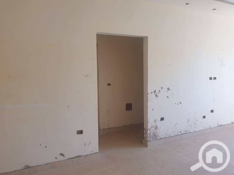 4 20250405_120531. jpg