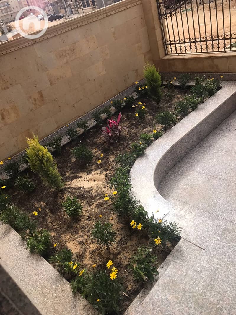 39 IMG-20250222-WA0005. jpg