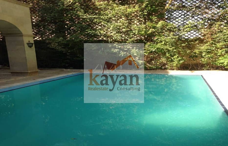 7 87608e58-1fd0-4a44-a9ad-cd87f3b8c74d. jpg