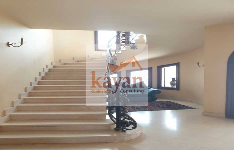 8 f5343995-2f5a-407f-b3c8-807459e5b090. jpg