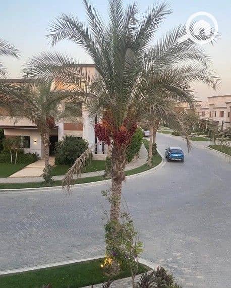 5 Screenshot_14. jpg