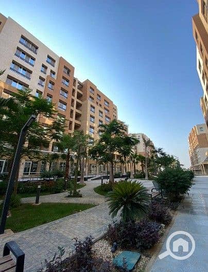 16 Screenshot_3. jpg